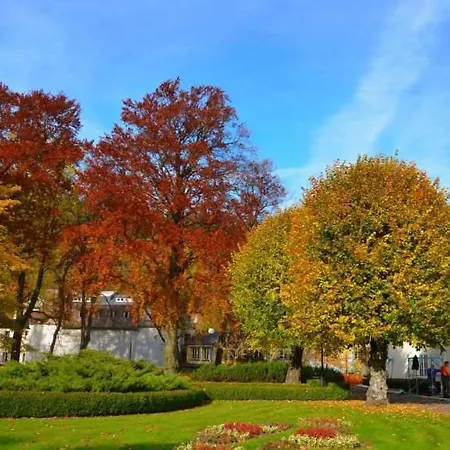 Natura Centrum Zdrowia *
